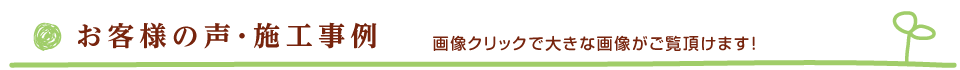 ql̐E{H